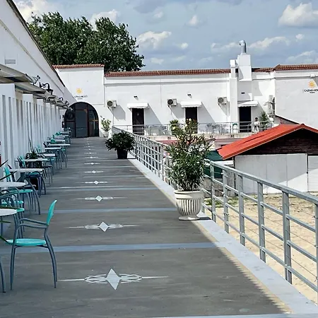 Cazino Nord * Мамая